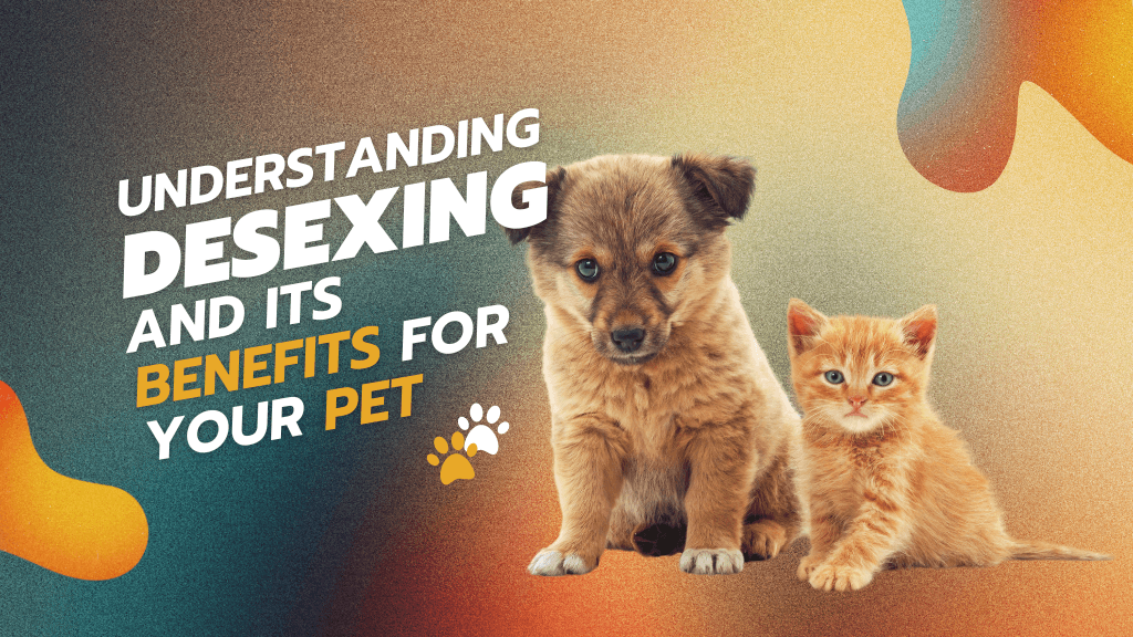 Understanding Desexing and Its Benefits for Your Pet Understanding Desexing and Its Benefits for Your Pet